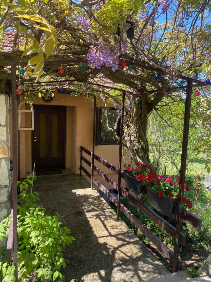 Casa Madre Kravice Waterfalls Ljubuški 外观 照片